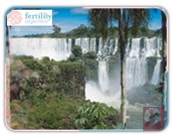 Slider image (5) Dr. Glujovsky | Fertility Argentina | CEGYR